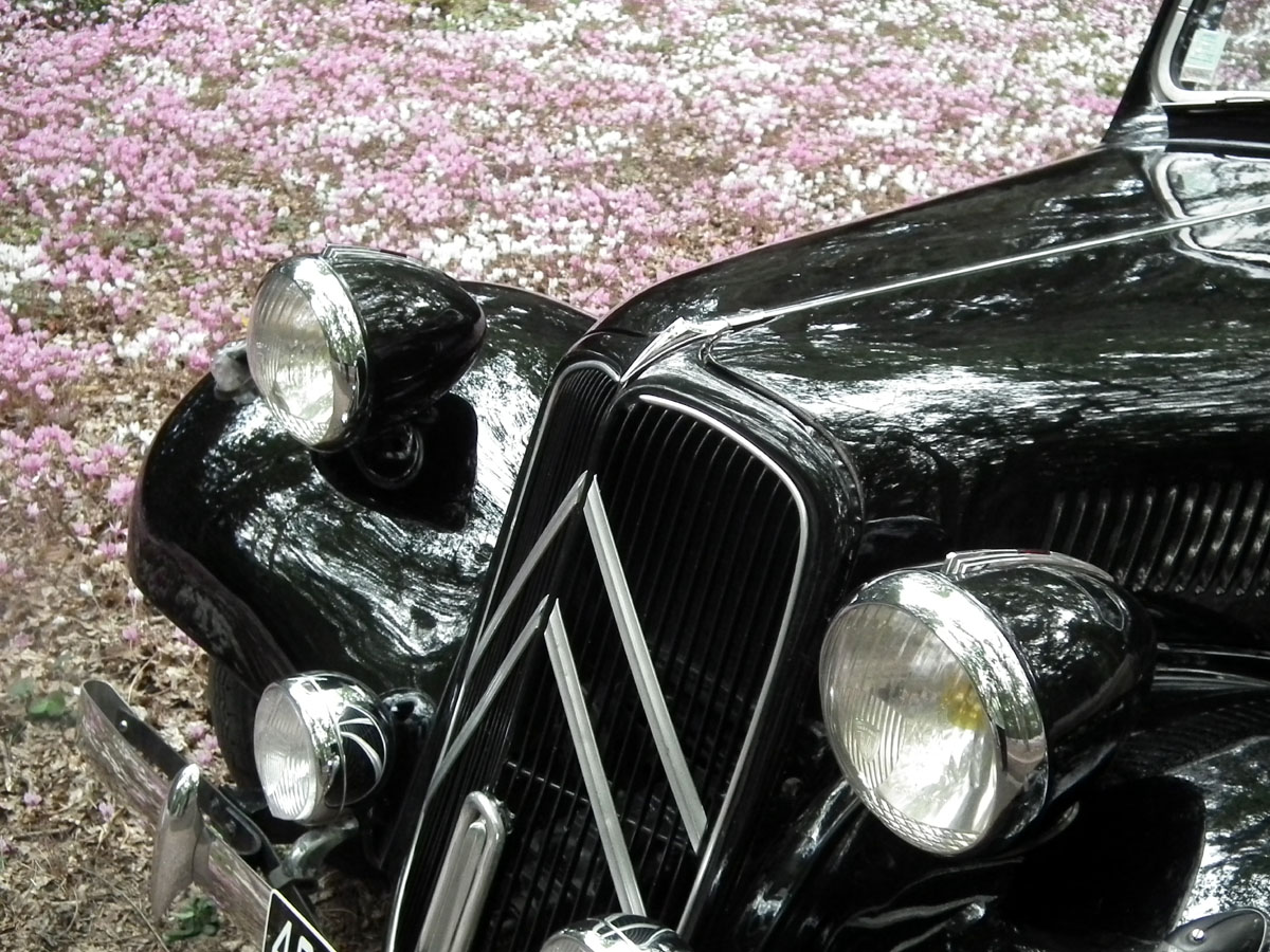 Célestine at the château