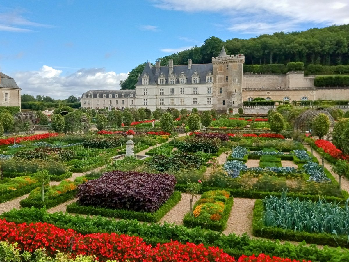 The parterre gardens of Villandry